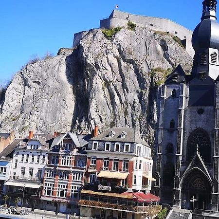 Vue Sur Meuse Avec Jacuzzi Et Sauna Exterieur. Yvoir Extérieur photo