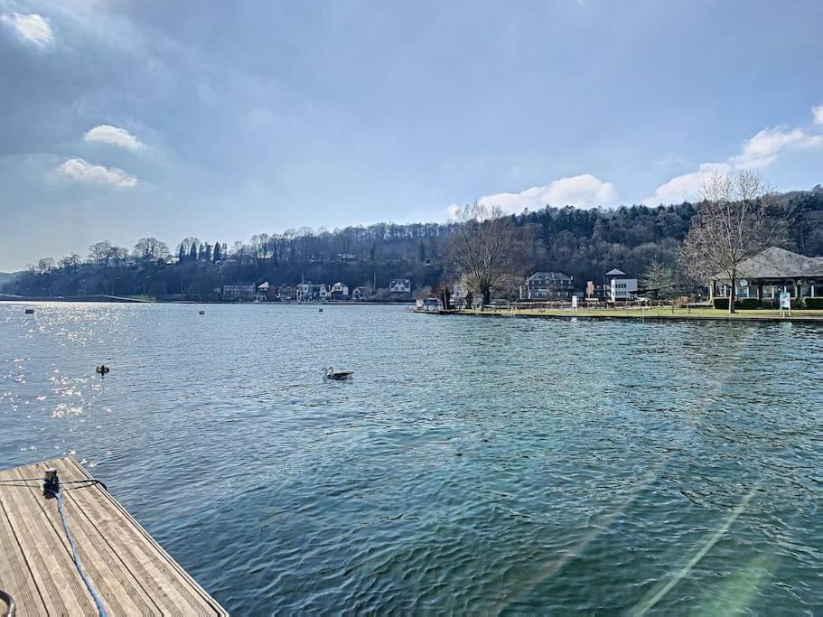 Vue Sur Meuse Avec Jacuzzi Et Sauna Exterieur. Yvoir Extérieur photo