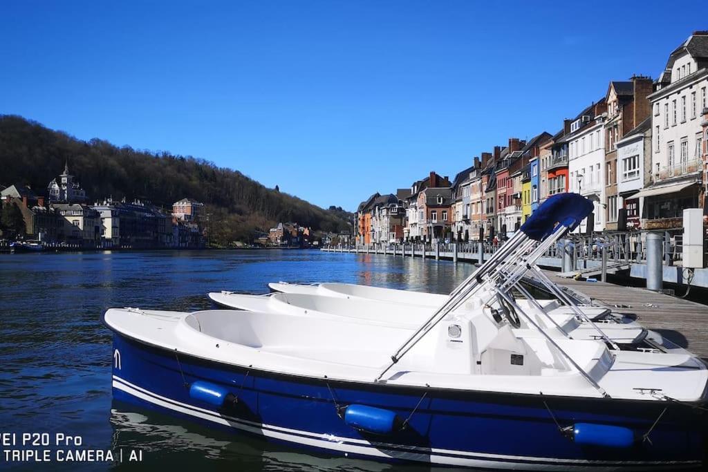 Vue Sur Meuse Avec Jacuzzi Et Sauna Exterieur. Yvoir Extérieur photo
